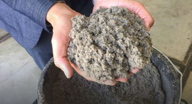 Economia circolare, in Olanda la prima pista ciclabile fatta di carta igienica riciclata