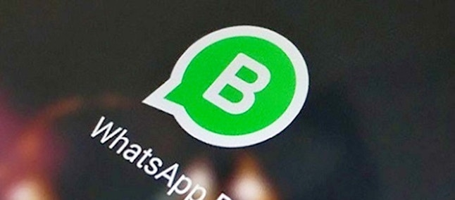 WhatsApp Business su Android, la messaggistica diventa aziendale