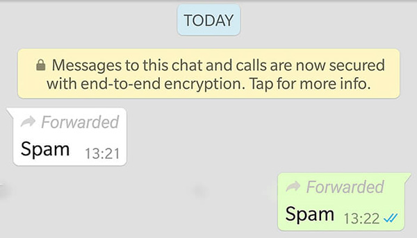 whatsapp forwarded