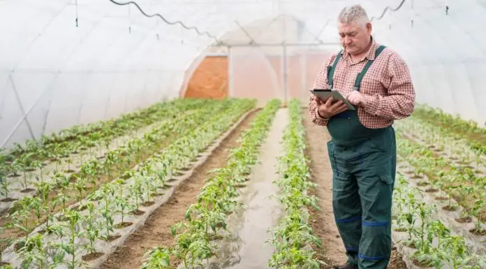 Coltivare il futuro dell’agricoltura con il Wi-Fi 6