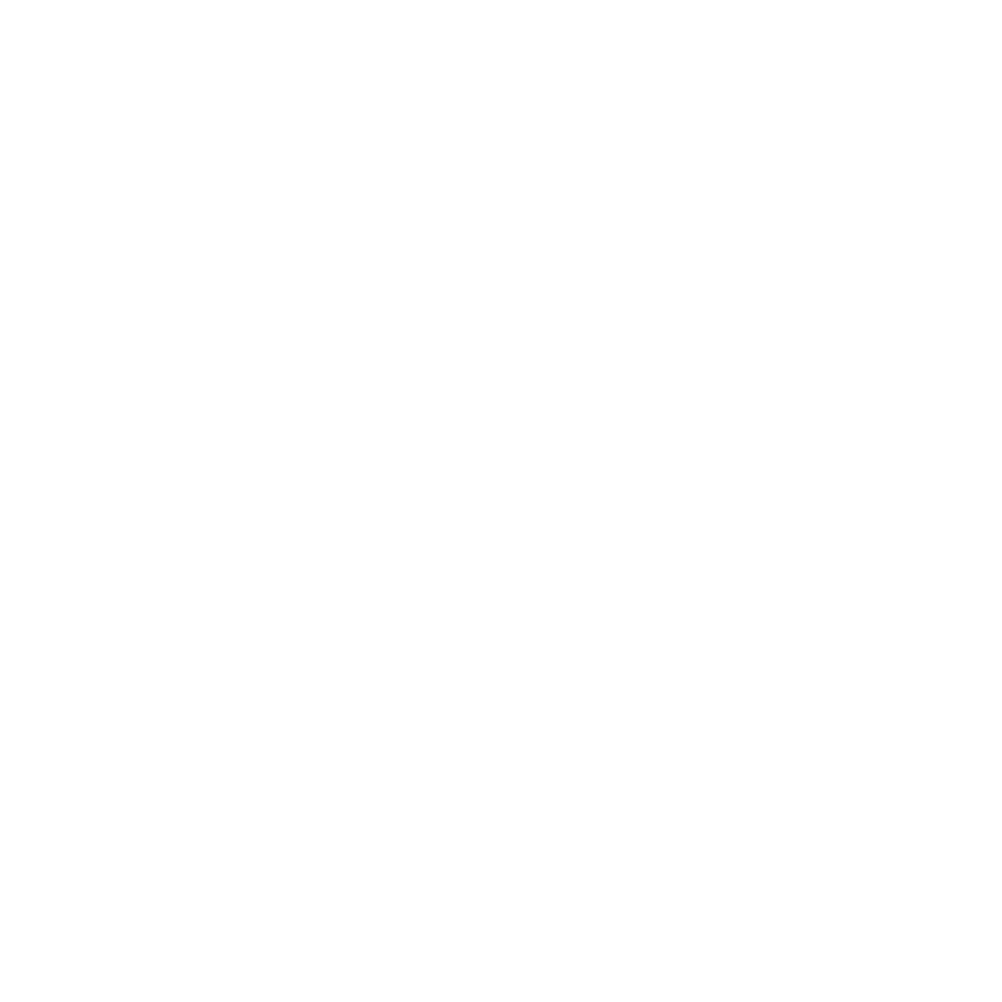 AI Security & Governance icona comportamenti anomali bianca under 2mb